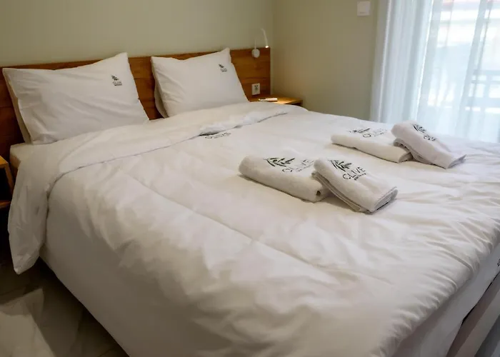Olive 203 Apartmán